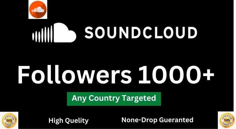 1482Any Country Targeted 1000+ HQ Twitter Followers Non-Drop Gueranted