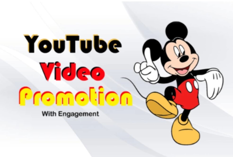 1204I will do organic youtube video promotion with engagement