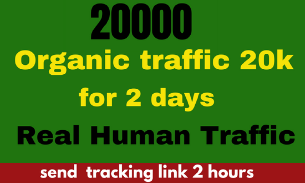 1056We will give 110000 Worldwide traffic to your website