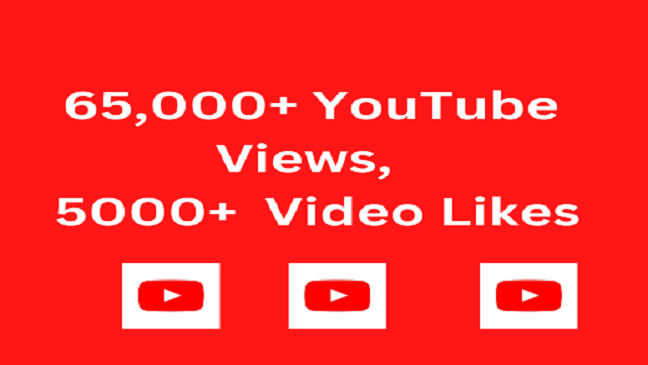1599Get 65,000+ YouTube Views, 4000+ Video Likes, Non Drop, Life Time Guaranteed.