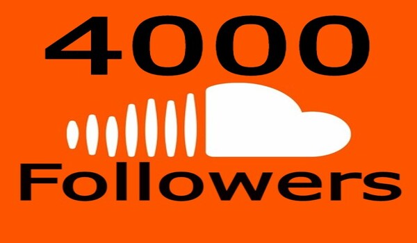 1623I send you 4000+ Twitter followers