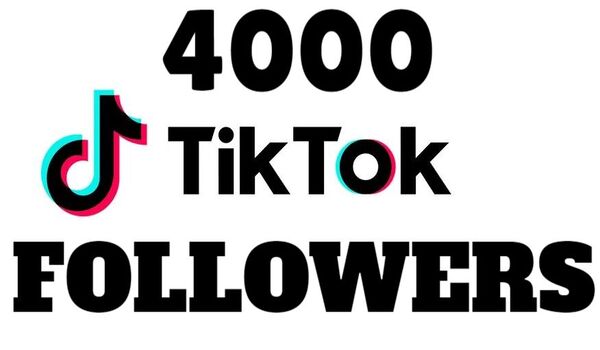 1703I send you 4000+ Twitter followers