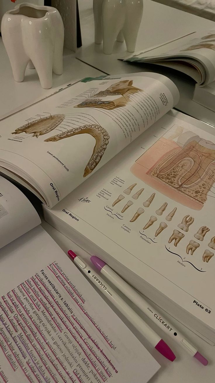 234606Audio to file transcription